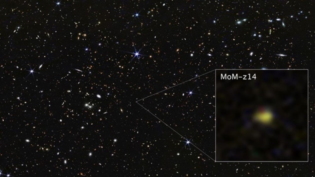 James Webb da NASA mostra a galáxia MoM-z14 como ela era em um passado distante
