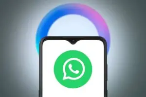 WhatsApp Web은 채팅 및 배경을 위한 최대 49개의 새로운 사용자 정의 테마를 받을 준비를 하고 있습니다.