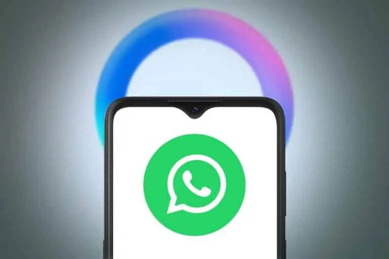 Meta e WhatsApp