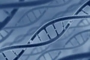 Após décadas, tecnologia de DNA resolve mistério de adolescente grávida assassinada em 1975 em Waukegan