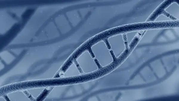 Modelo de DNA