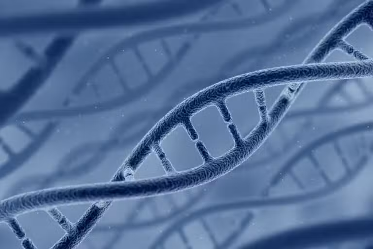 Modelo de DNA