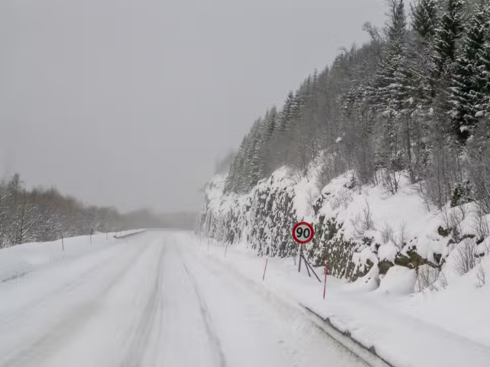 Nevasca, tempestade de neve