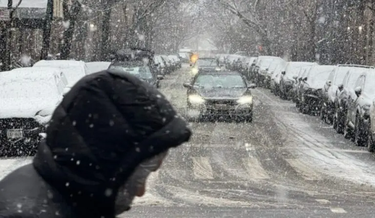 Neve