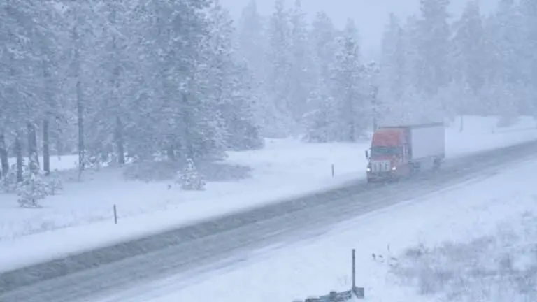 Neve, nevasca