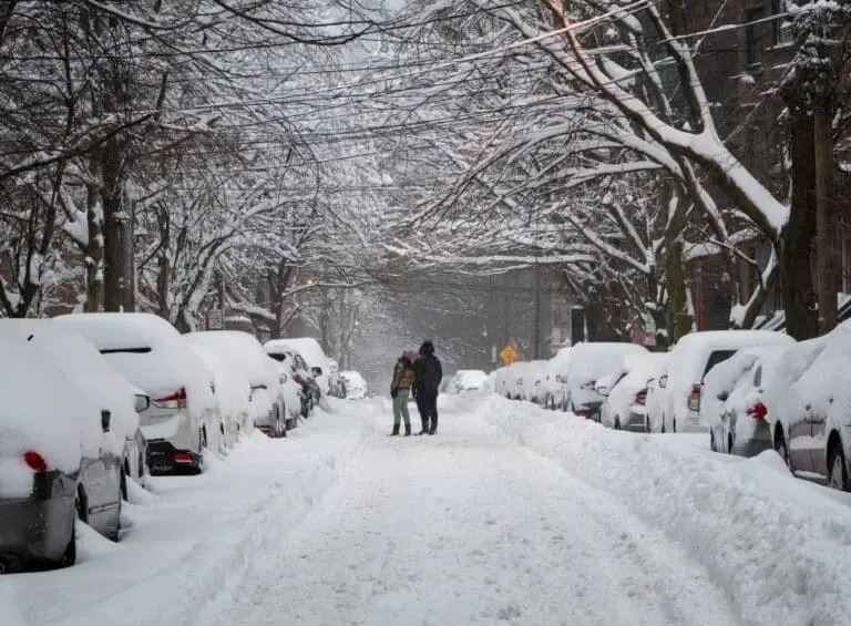 Neve, nevasca, carros cobertos de neve