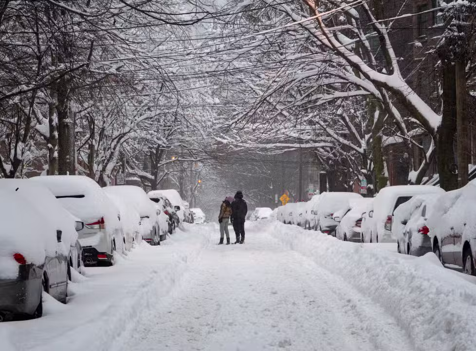 Neve, nevasca, carros cobertos de neve