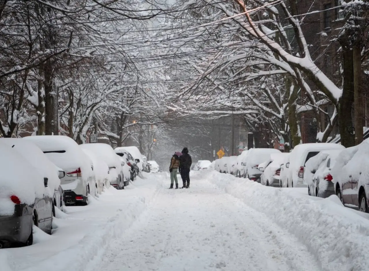 Neve, nevasca, carros cobertos de neve