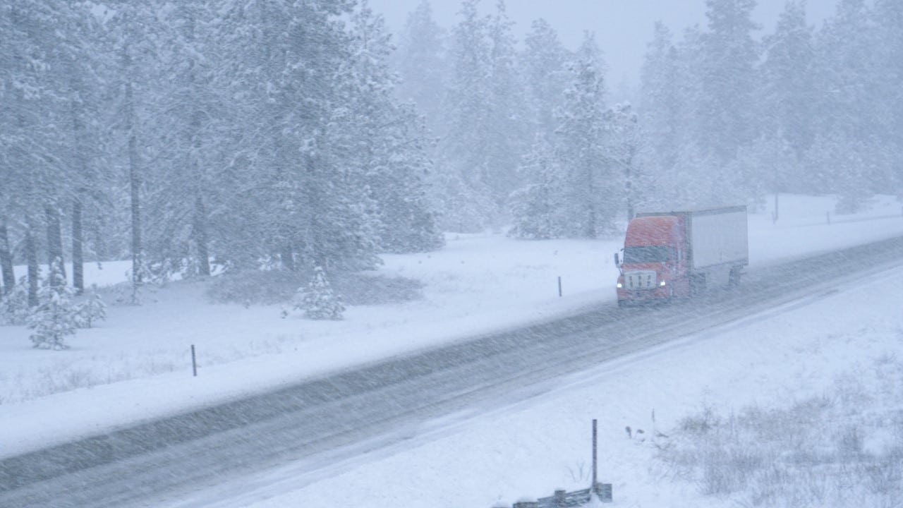 Neve, nevasca