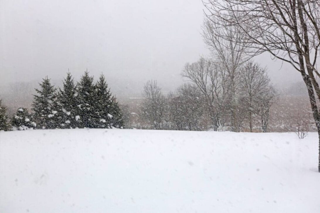 Tempestade de neve