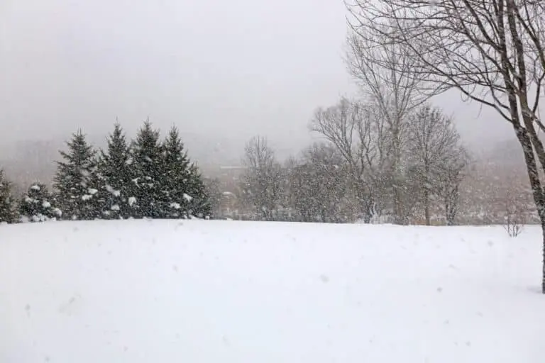 Tempestade de neve