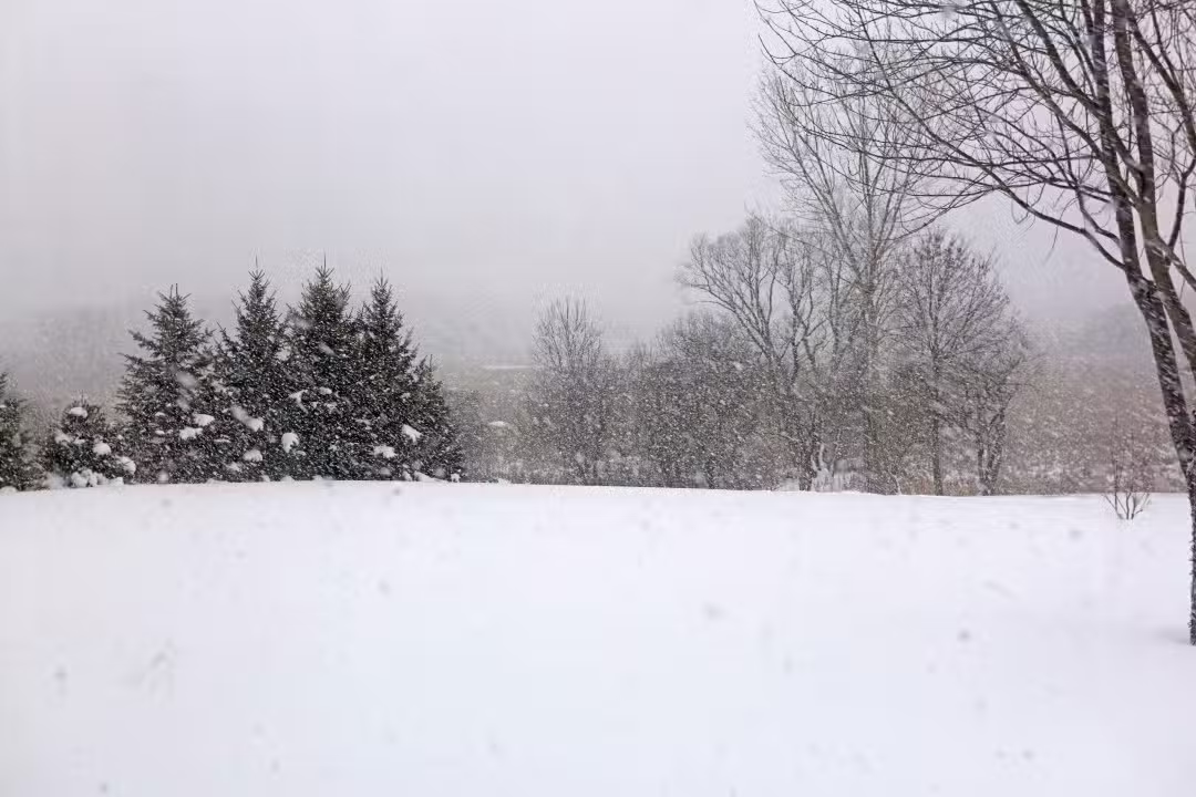 Tempestade Sn&oslash;