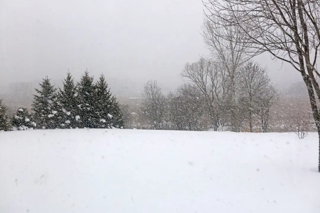 Tempestade de neve