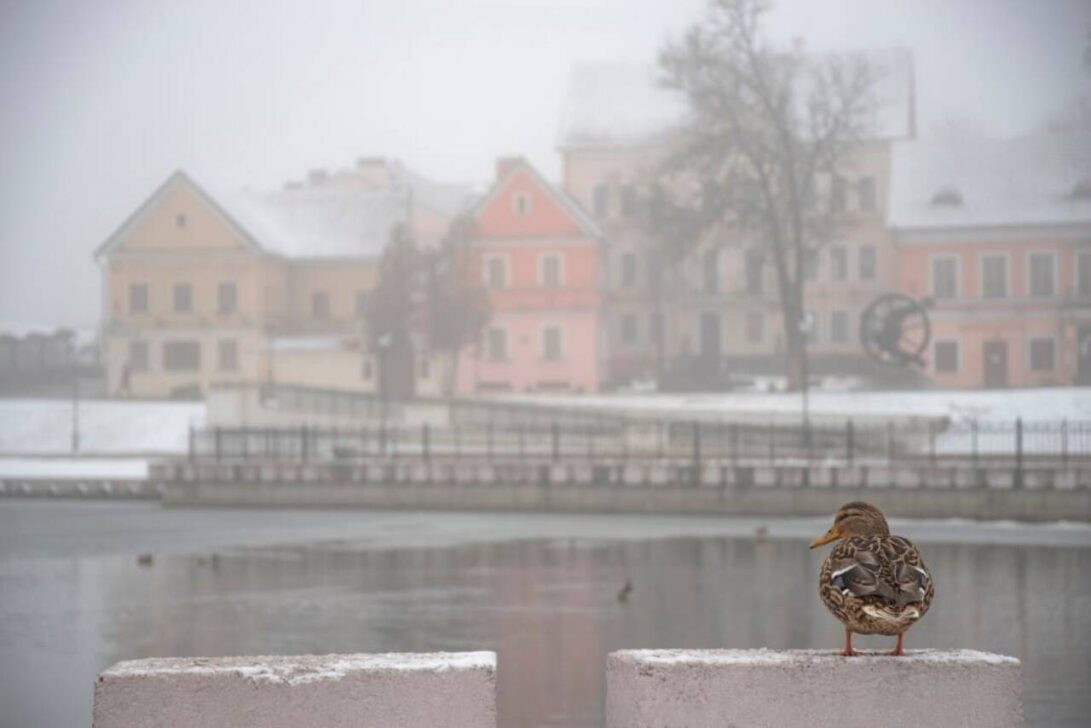 Tempestade de neve em Bielorrússia, nevoeiro