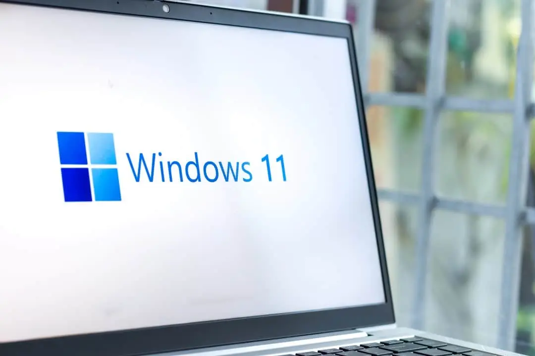 Windows 11