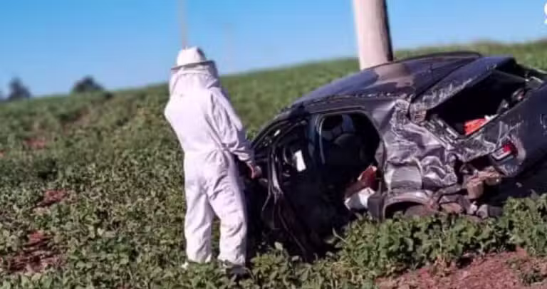 Abelhas e acidente de carro - Corpo de Bombeiros de Ijuí