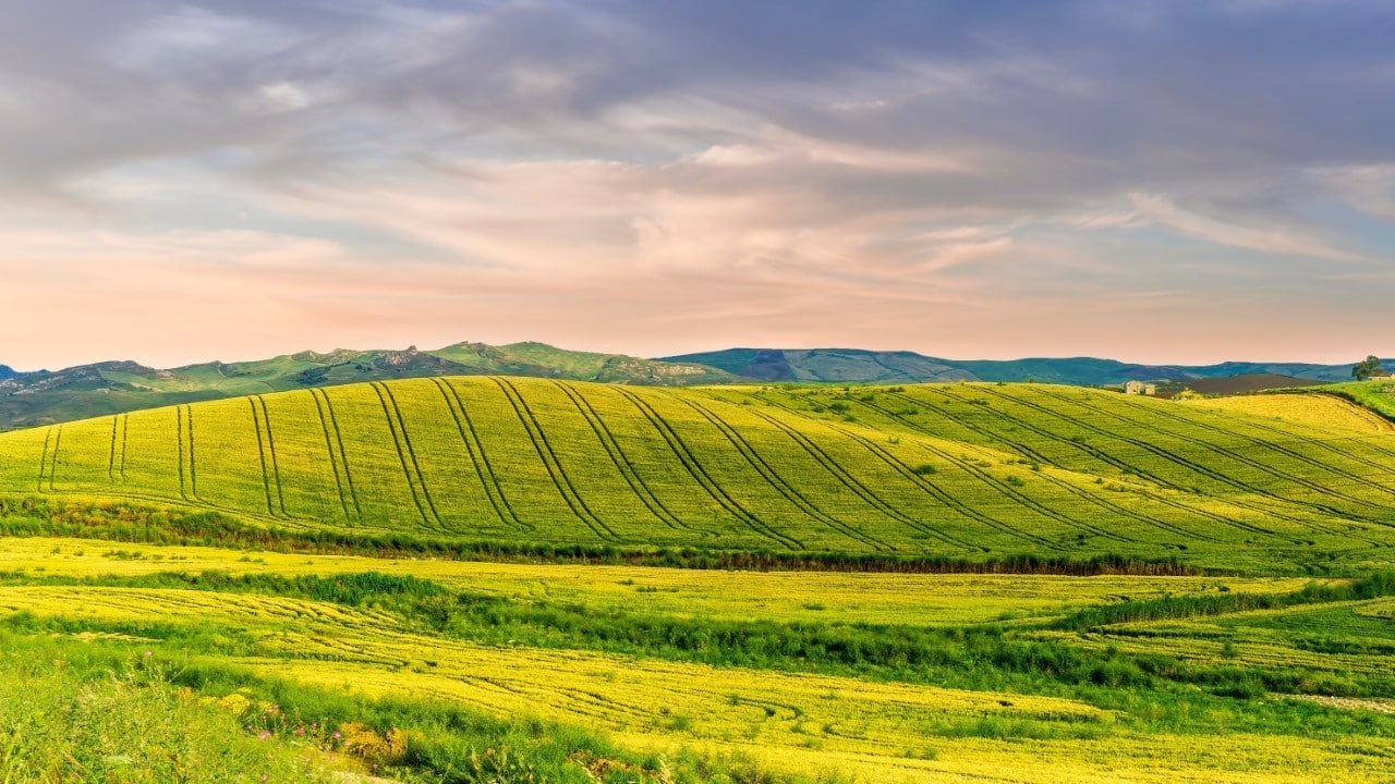 agricultura