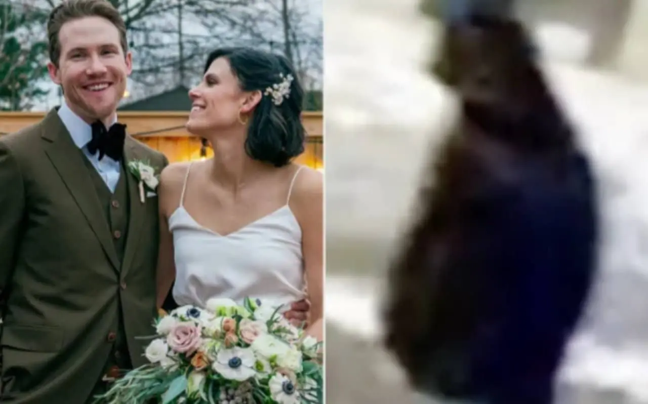 assassinato de um dentista e sua esposa - Internet