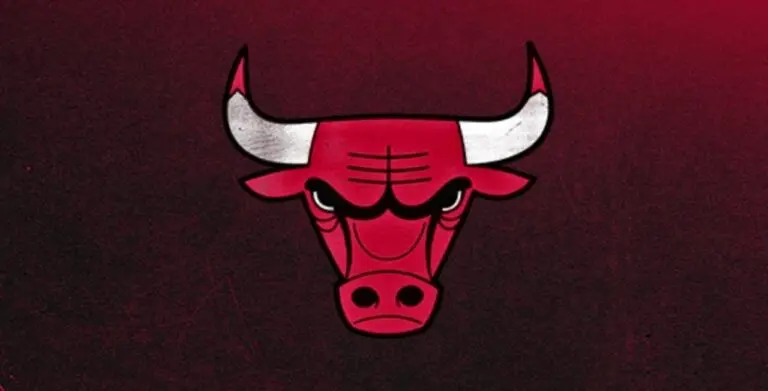 Bulls - Divulgação