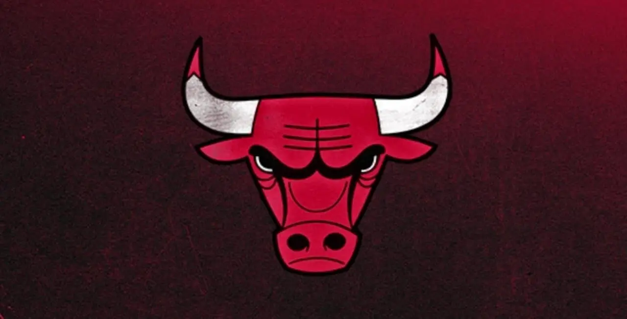 Bulls - Divulgação