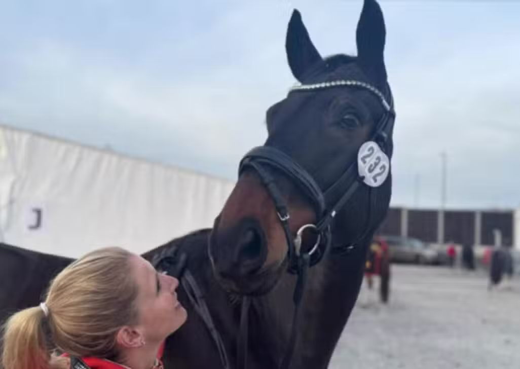 cavalo morre repentinamente - Instagram
