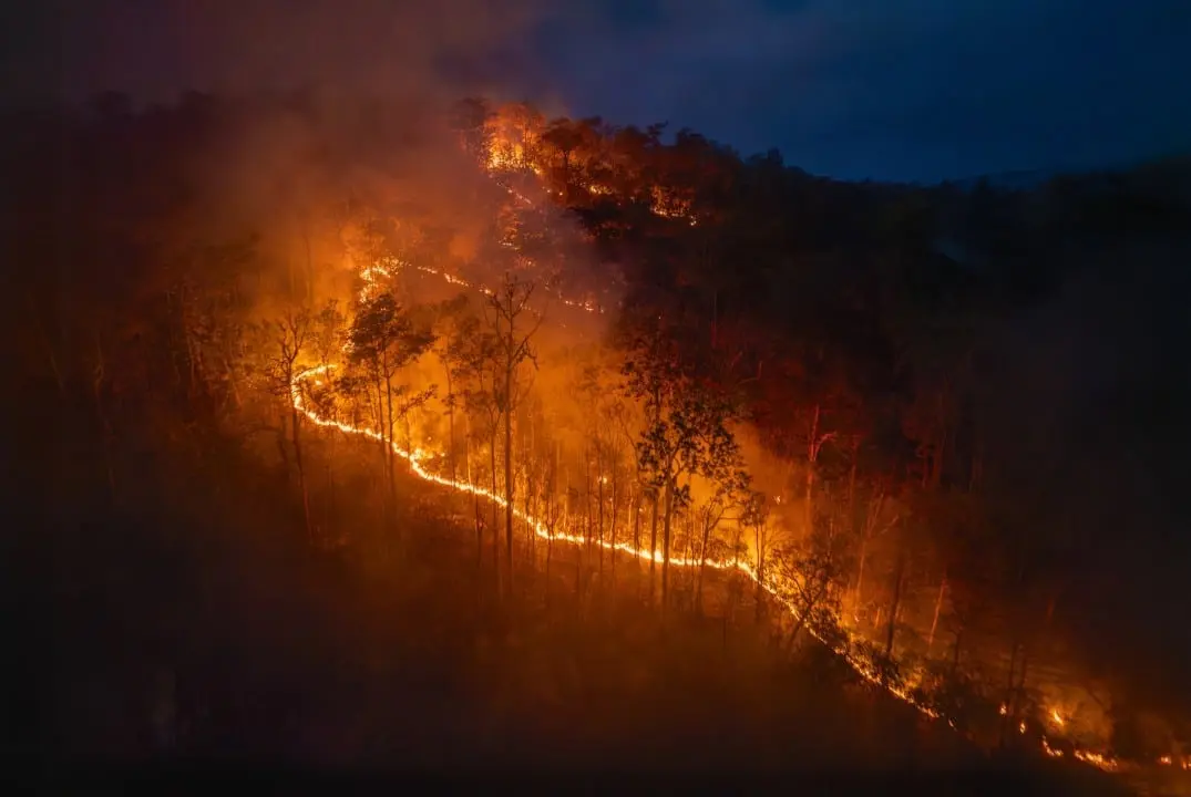 incêndio florestal