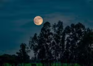 Lua das Flores ilumina o céu noturno com tom alaranjado esta semana