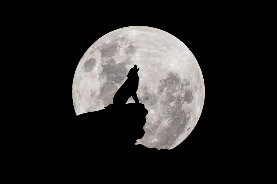 Lua