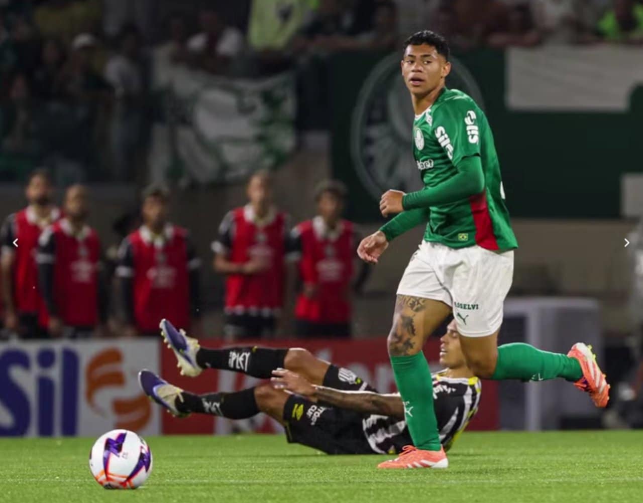 Luis Pacheco - Fabio Menotti / Palmeiras