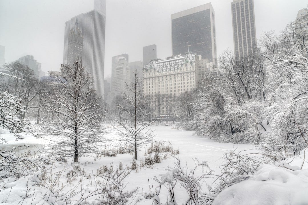 new york