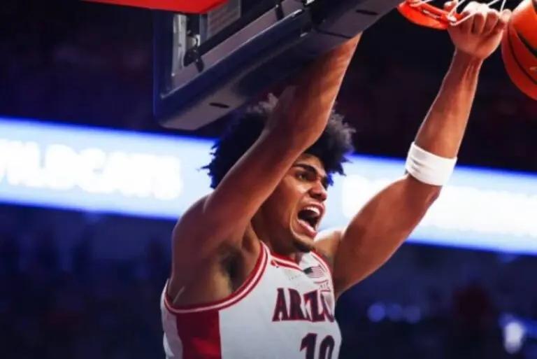Arizona Wildcats