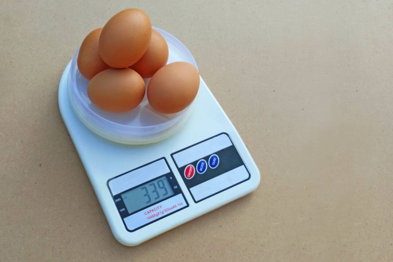 Balança de alimentos, ovos, proteína