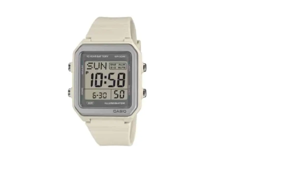 Casio W-221H -