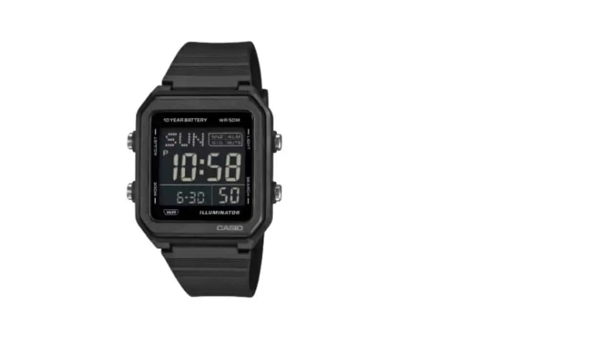 Casio W-221H