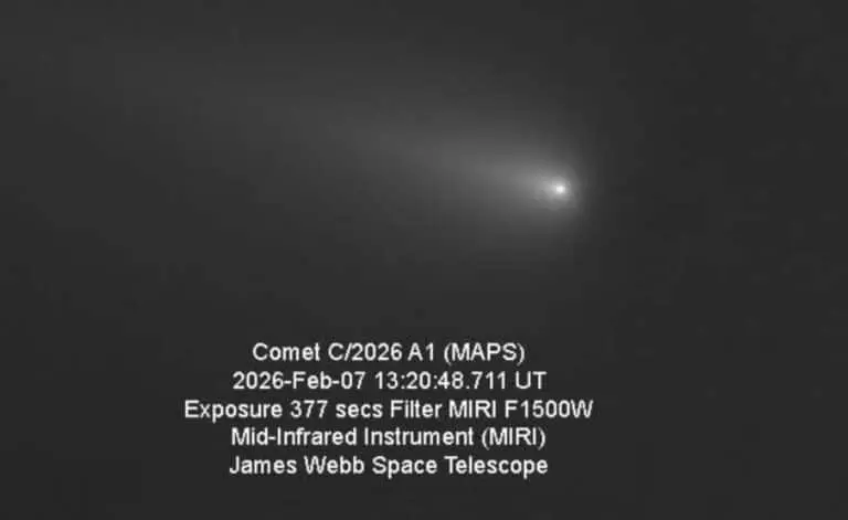 Cometa C/2026 A1