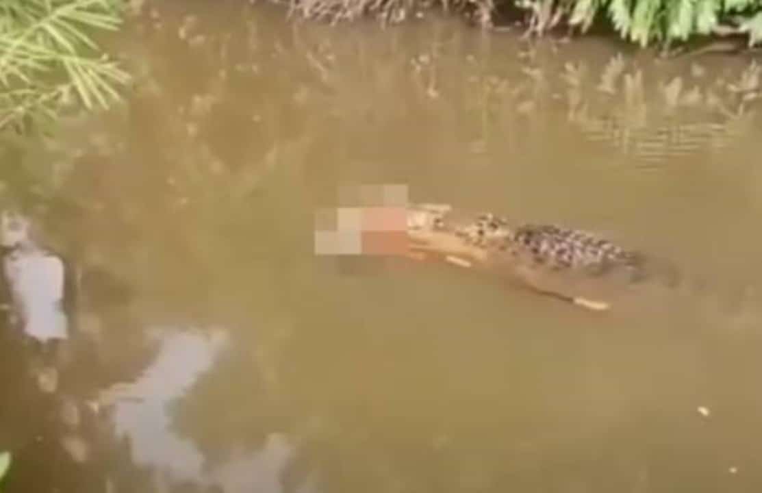 Crocodilo carrega corpo de mulher desaparecida na Indonésia