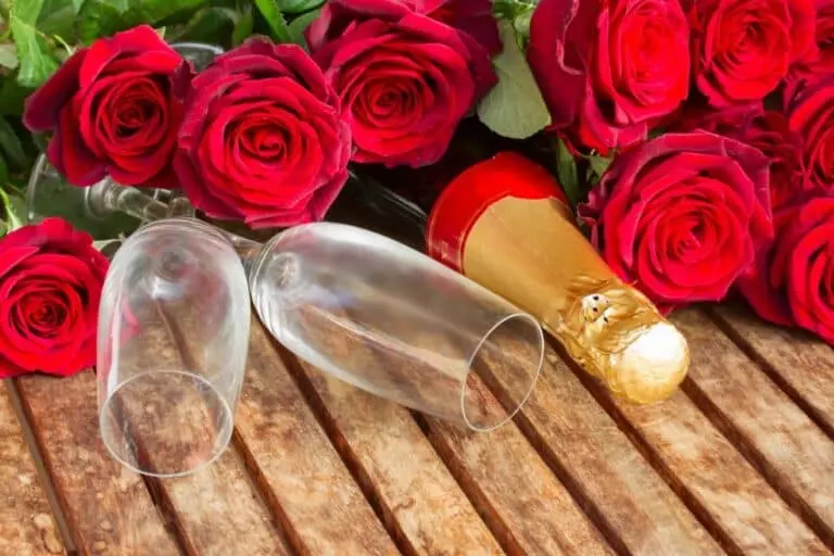 Dia de São Valentim, dia dos namorados