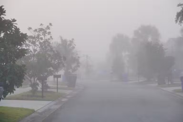 Flórida com neblina matinal