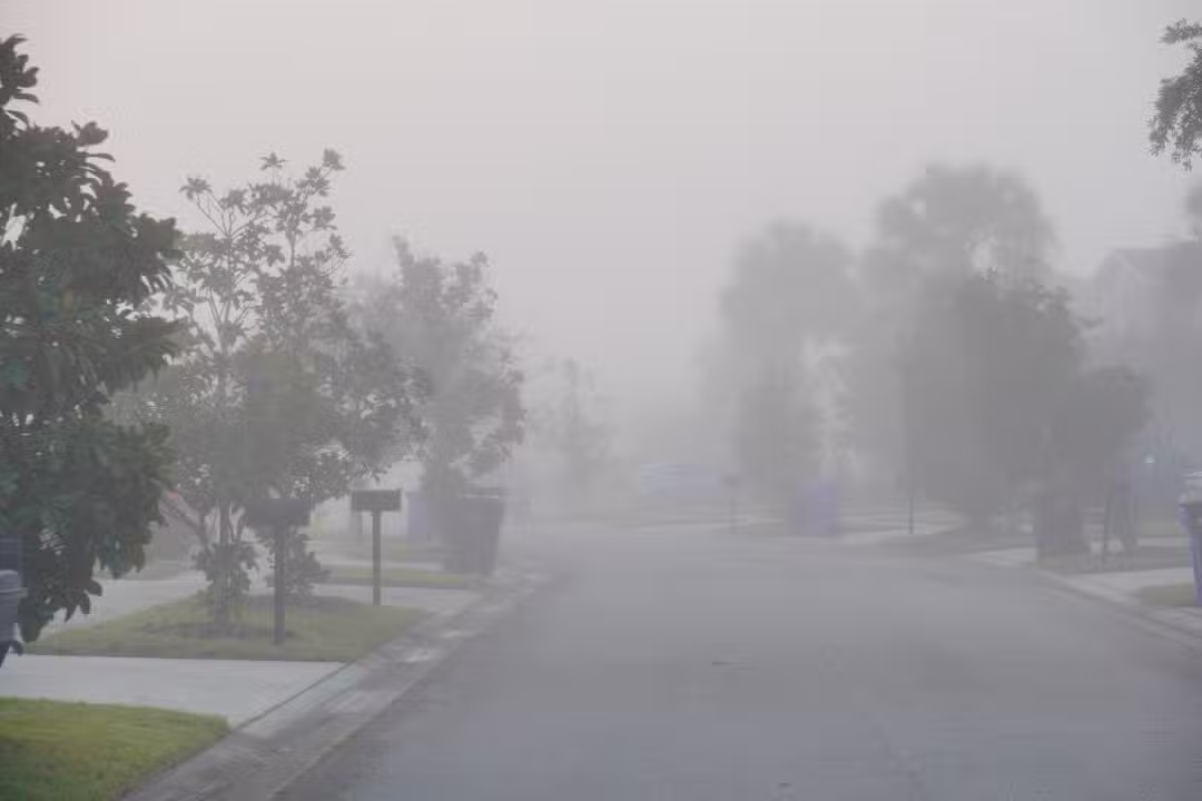 Flórida com neblina matinal