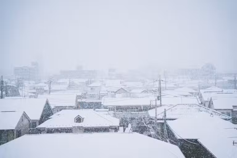 Frio Veve em Tóquio