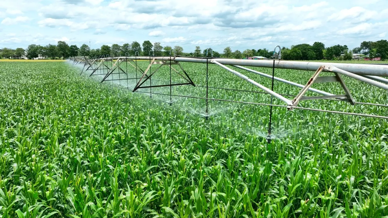 Irrigação, plantação