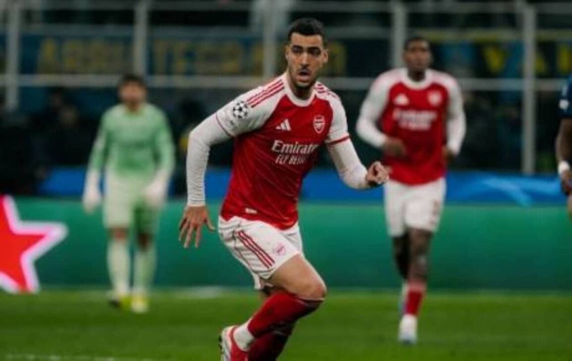 Merino