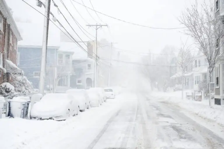 Nevasca, tempestade de neve