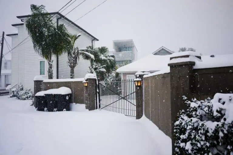 Neve, nevasca em New Orleans