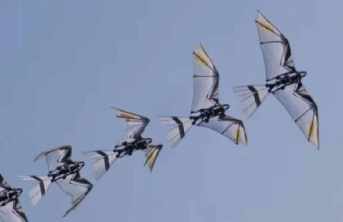 RoboFalcon 2.0