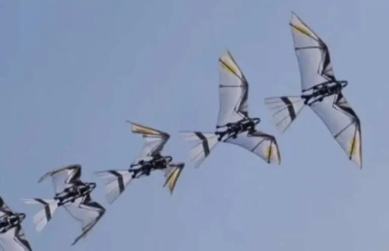 RoboFalcon 2.0