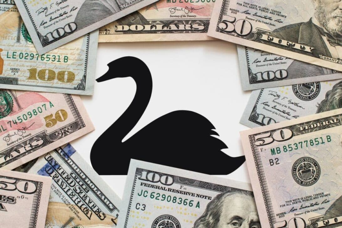 O Cisne Negro - símbolo de movimento do mercado financeiro