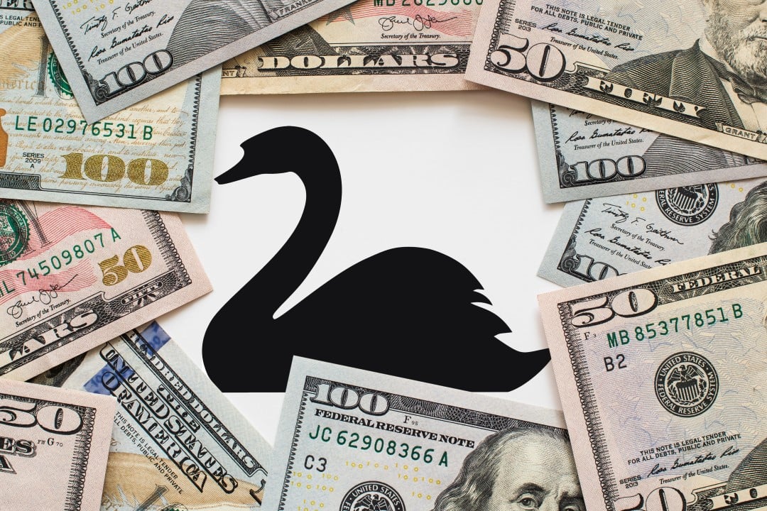 O Cisne Negro - símbolo de movimento do mercado financeiro