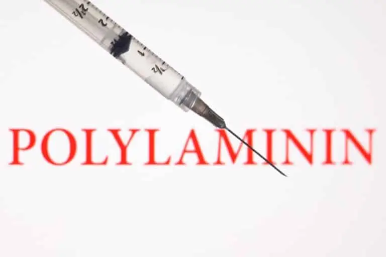Polilaminina