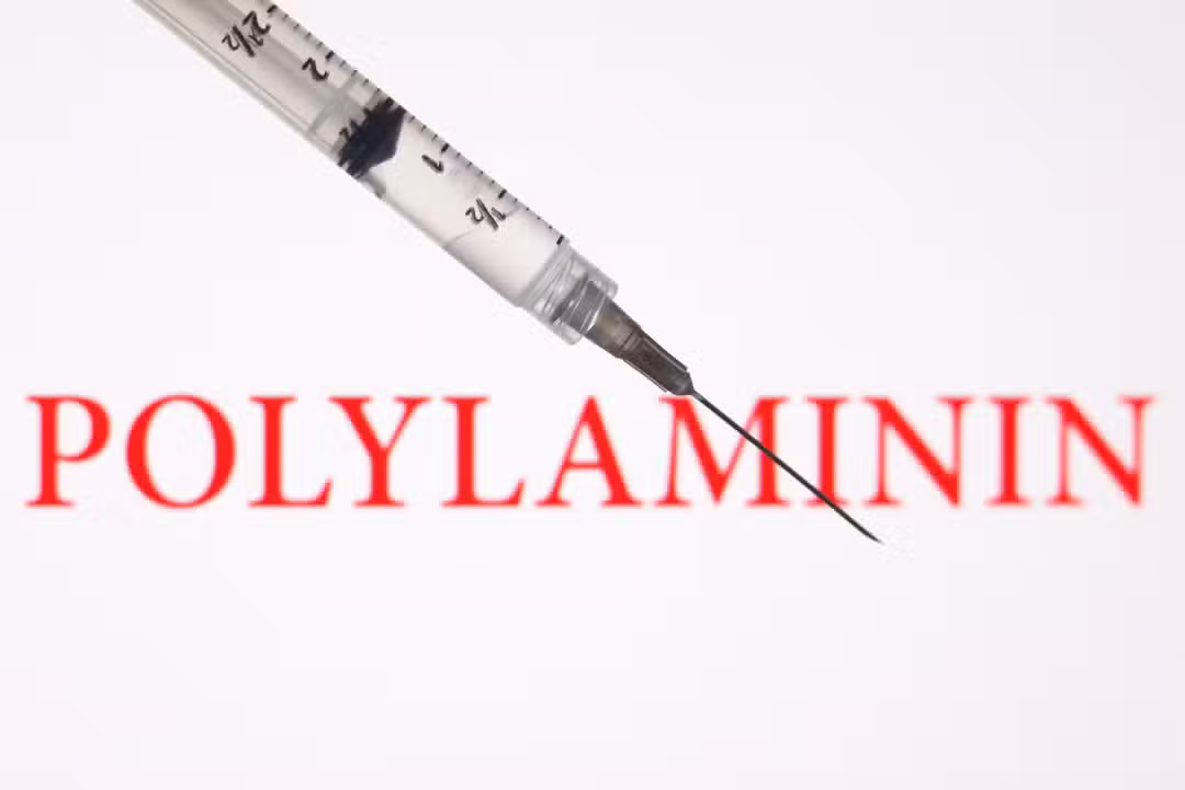 Polilaminina